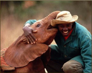 sheldricktrust_11